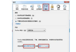 上网会留下浏览记录 火狐浏览器如何清除缓存与浏览记录