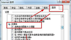 IE浏览器启用自动图像大小调整指南说明
