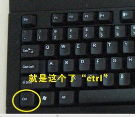 qq浏览器如何缩放页面?qq浏览器放大或缩小的图片