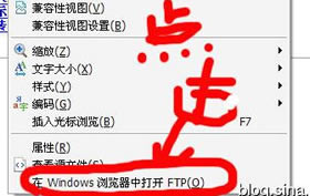 IE浏览器访问FTP无法直接显示文件夹视图2个处理办法(替代办法、更改注册表)