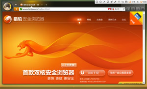 猎豹浏览器自带截图如何运用?猎豹浏览器截图技巧介绍
