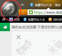 猎豹浏览器安装的插件怎样管理？猎豹浏览器插件管理指南 