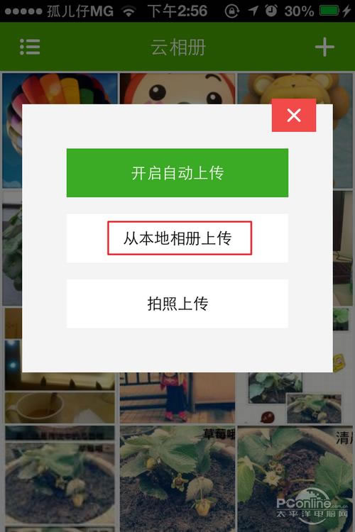 㶹ô
