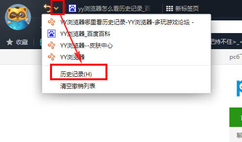 yy浏览器怎样看历史记录_浏览器指南