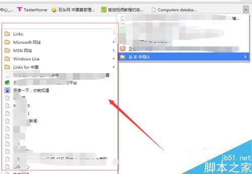 Chrome谷歌浏览器怎么导入书签_浏览器指南