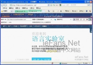 在IE浏览器中怎么完成页面自动翻译_浏览器指南