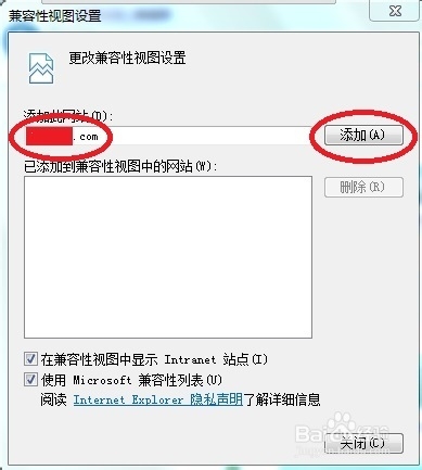 ¼ʧIEںΪNetscape_ָ