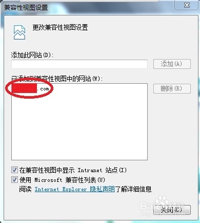 ¼ʧIEںΪNetscape_ָ
