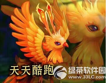 天天酷跑凤凰好不好 坐骑凤凰技能属性介绍