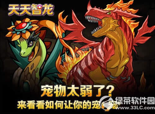 天天智龙宠物提升战斗力攻略 宠物怎么提高战斗力