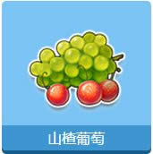 qq飞车山楂葡萄任务怎么完成 山楂葡萄有什么奖励1