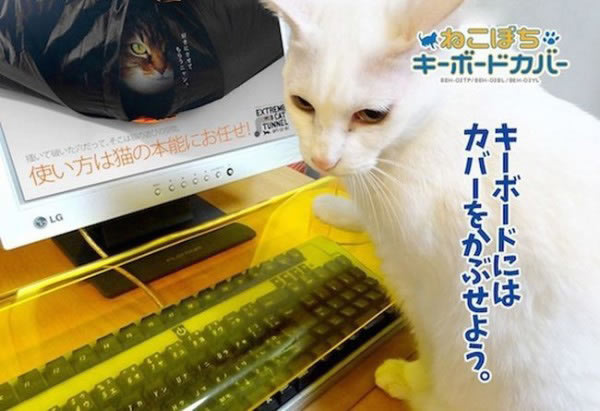 不怕喵星人滚键盘的神器 Neko Pochi