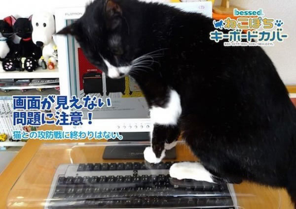 不怕喵星人滚键盘的神器 Neko Pochi