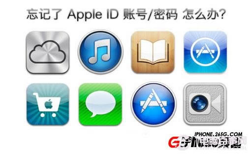 iPhone5