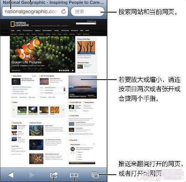 iPhone浏览器Safari基础使用技巧 电脑百事网