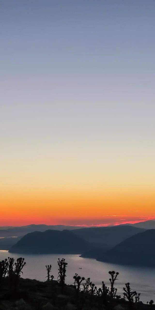iPhone Xֽ