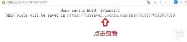 ɻ̳̣αƻiPhone SHSH2ļ