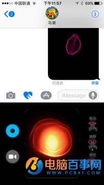 003980524.jpg