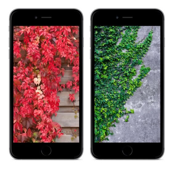 iOS10ֽ 4iOS 10Դֽ