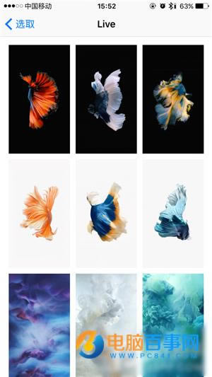 iPhone6sֽ̬ô  iPhone6sֽ̬ý̳