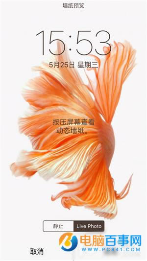 iPhone6sֽ̬ô  iPhone6sֽ̬ý̳