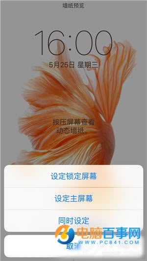 iPhone6sֽ̬ô  iPhone6sֽ̬ý̳