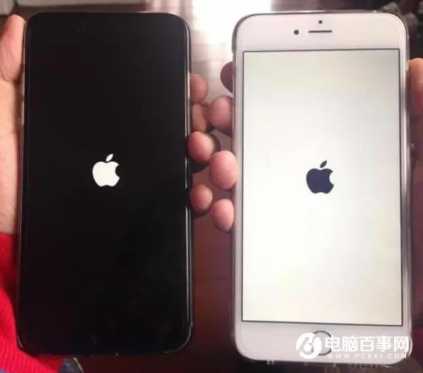 15ʵiPhone֪ʶ 90%۶ȫ֪