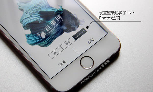 Live Photosô 淨Live Photosʹý̳
