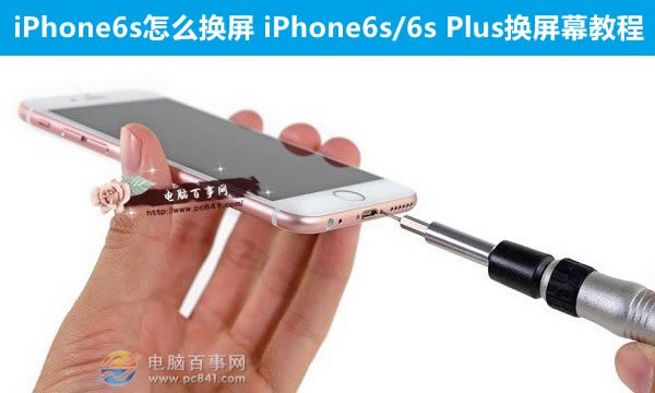 iPhone6sô iPhone6s/6s PlusĻ̳