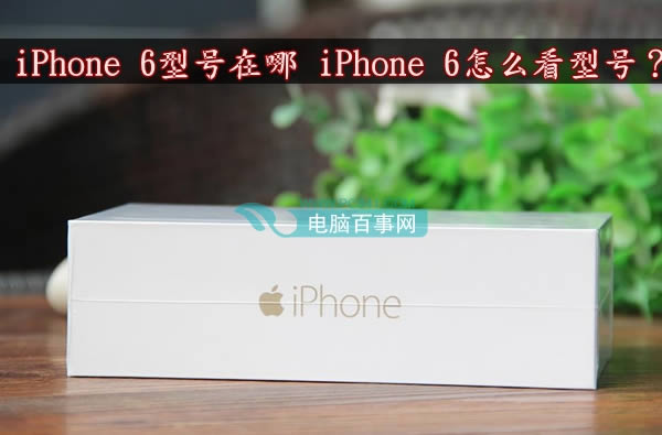 iPhone 6型号在什么地方 iPhone 6如何看型号?