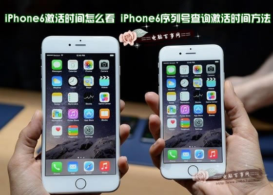 iPhone6激活时间怎么看 iPhone6序列号查询激活时间方法