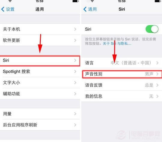 iPhone 5S siri如何设置女声?iPhone 5S siri设置女声方法