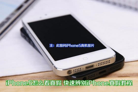 iPhone5SiOS7.1ĵֽ̫ pc841.com