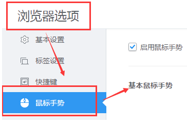浏览器选项界面