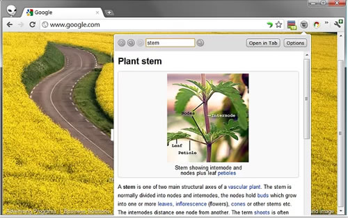 Lookup Companion for Wikipedia