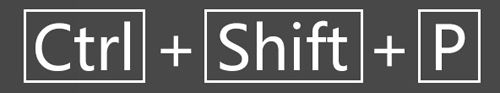 IEݼ Ctrl+Shift+P