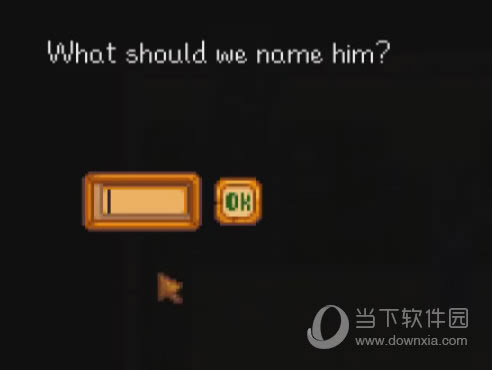 星露谷物语给宝宝取名