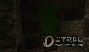 我的世界丛林神庙截图6
