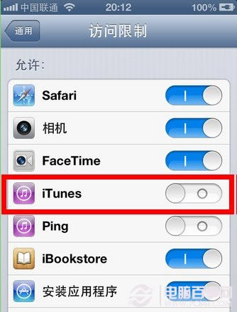 如何用iphone的访问限制来隐藏自带应用软件