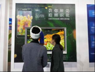QQ