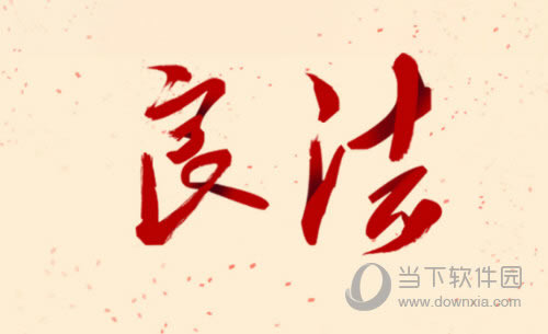 良法app