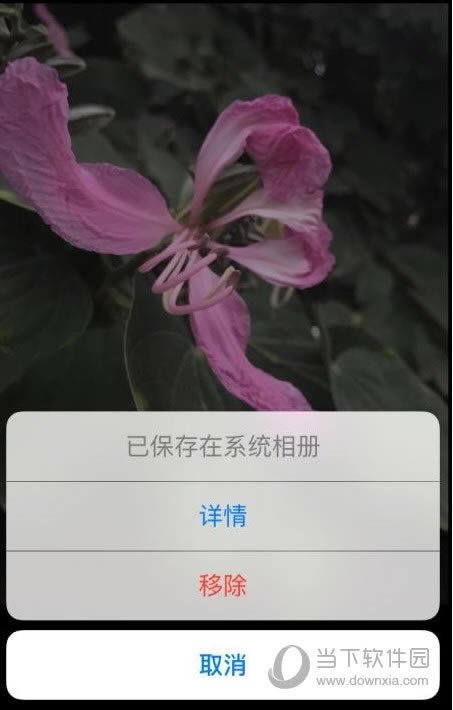 ʱ-ƬƳ
