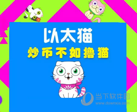 迷恋猫