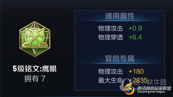绿色鹰眼