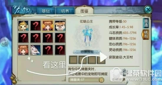 诛仙手游稀有宠物怎么得 诛仙手游稀有宠物捕捉技巧3