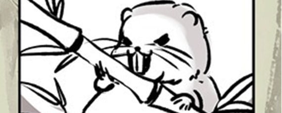 竹鼠活下去