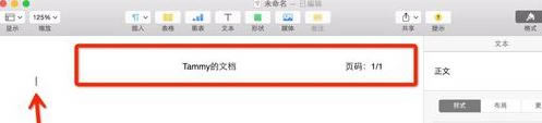 Pages加页码