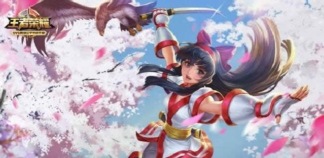 王者荣耀·娜可露露-17杀完美追击,已成神!