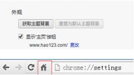 google浏览器主页按钮在哪设置.3 谷歌浏览器主页按钮在哪设置