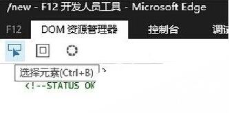 开发人员工具 开发人员工具